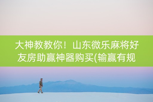 大神教教你！山东微乐麻将好友房助赢神器购买(输赢有规律)