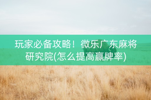 玩家必备攻略！微乐广东麻将研究院(怎么提高赢牌率)