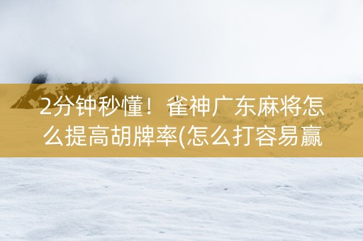 2分钟秒懂！雀神广东麻将怎么提高胡牌率(怎么打容易赢)