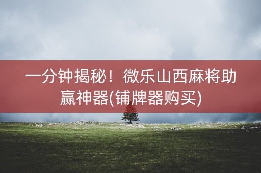 一分钟揭秘！微乐山西麻将助赢神器(铺牌器购买)
