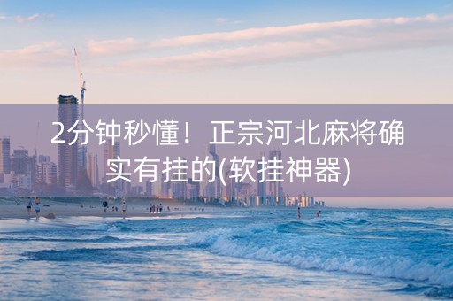 2分钟秒懂！正宗河北麻将确实有挂的(软挂神器)