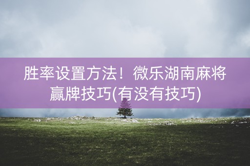 胜率设置方法！微乐湖南麻将赢牌技巧(有没有技巧)
