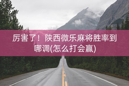 厉害了！陕西微乐麻将胜率到哪调(怎么打会赢)