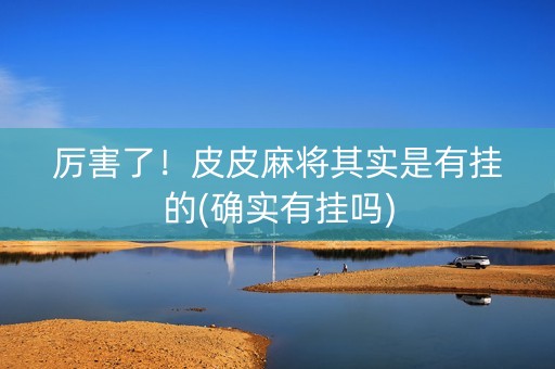 厉害了！皮皮麻将其实是有挂的(确实有挂吗)