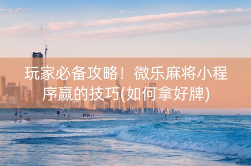 玩家必备攻略！微乐麻将小程序赢的技巧(如何拿好牌)