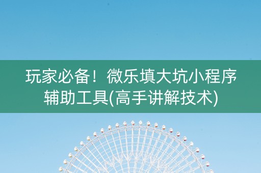 玩家必备！微乐填大坑小程序辅助工具(高手讲解技术)