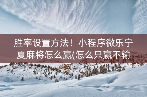 胜率设置方法！小程序微乐宁夏麻将怎么赢(怎么只赢不输)