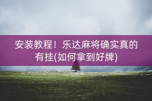 安装教程！乐达麻将确实真的有挂(如何拿到好牌)