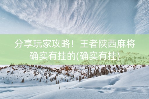分享玩家攻略！王者陕西麻将确实有挂的(确实有挂)