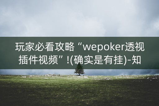 玩家必看攻略“wepoker透视插件视频”!(确实是有挂)-知乎