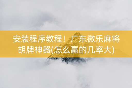 安装程序教程！广东微乐麻将胡牌神器(怎么赢的几率大)