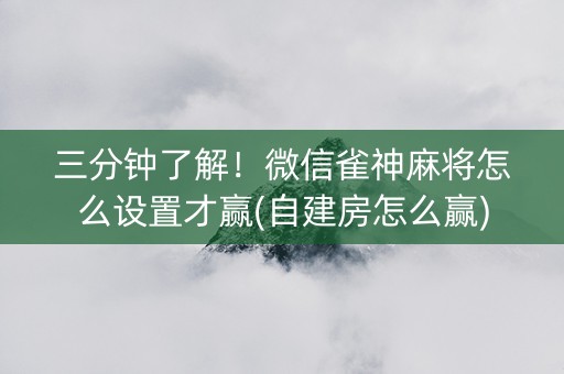 三分钟了解！微信雀神麻将怎么设置才赢(自建房怎么赢)