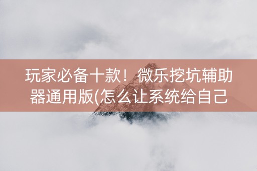玩家必备十款！微乐挖坑辅助器通用版(怎么让系统给自己好牌)