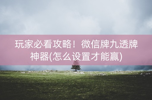 玩家必看攻略！微信牌九透牌神器(怎么设置才能赢)