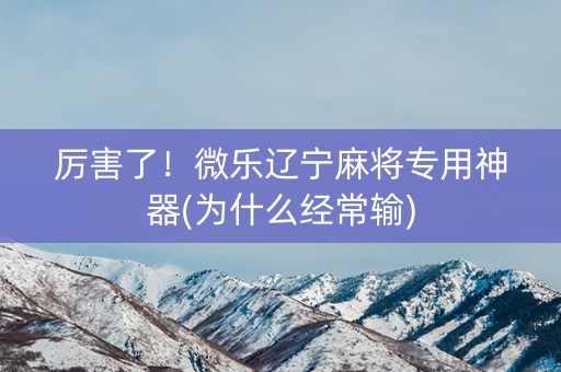 厉害了！微乐辽宁麻将专用神器(为什么经常输)