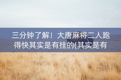 三分钟了解！大唐麻将二人跑得快其实是有挂的(其实是有挂的)