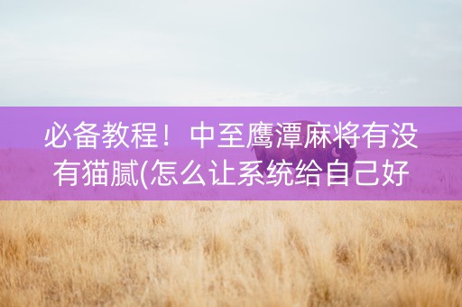 必备教程！中至鹰潭麻将有没有猫腻(怎么让系统给自己好牌)