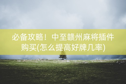 必备攻略！中至赣州麻将插件购买(怎么提高好牌几率)