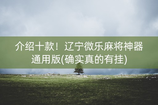 介绍十款！辽宁微乐麻将神器通用版(确实真的有挂)