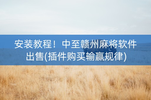 安装教程！中至赣州麻将软件出售(插件购买输赢规律)
