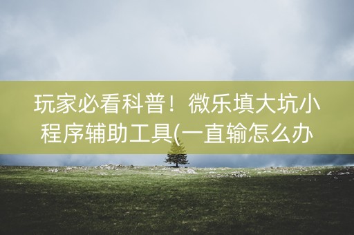 玩家必看科普！微乐填大坑小程序辅助工具(一直输怎么办)