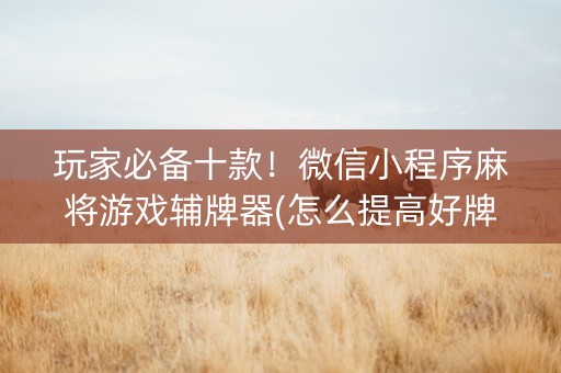 玩家必备十款！微信小程序麻将游戏辅牌器(怎么提高好牌几率)