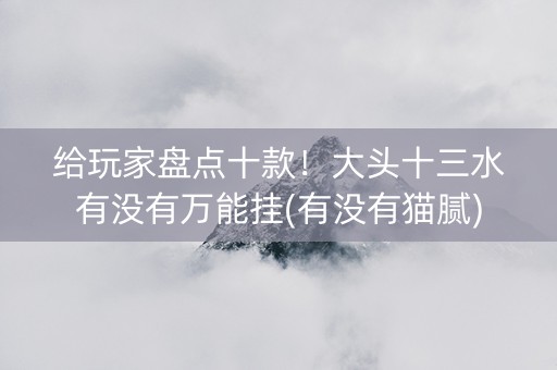 给玩家盘点十款！大头十三水有没有万能挂(有没有猫腻)