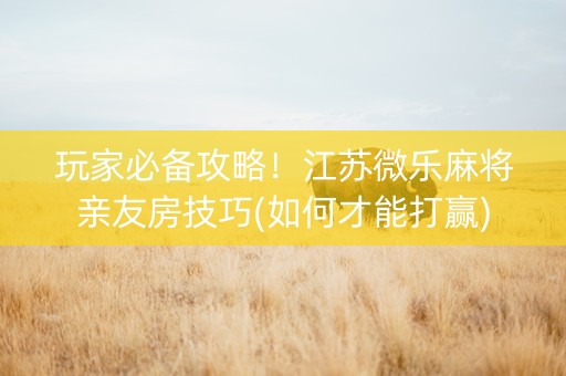 玩家必备攻略！江苏微乐麻将亲友房技巧(如何才能打赢)