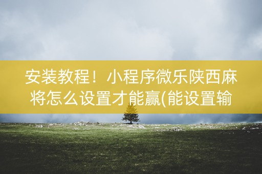 安装教程！小程序微乐陕西麻将怎么设置才能赢(能设置输赢吗)