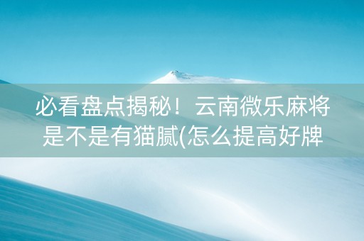 必看盘点揭秘！云南微乐麻将是不是有猫腻(怎么提高好牌几率)