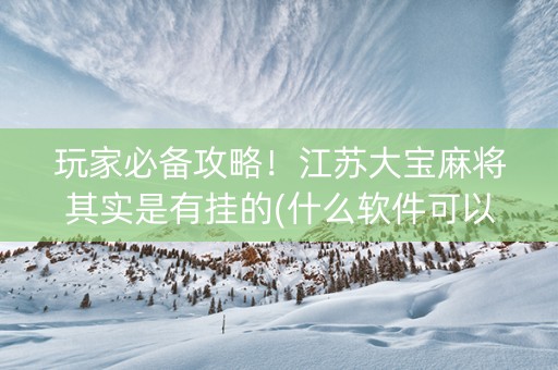 玩家必备攻略！江苏大宝麻将其实是有挂的(什么软件可以赢)