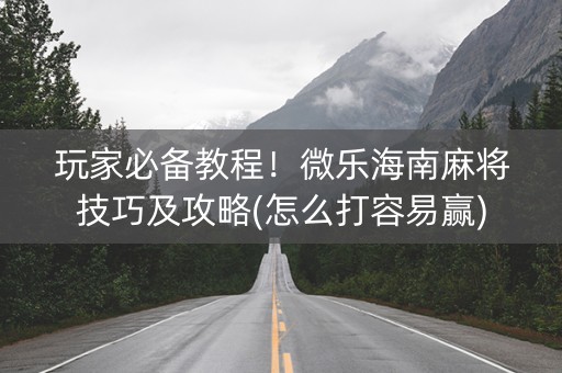 玩家必备教程！微乐海南麻将技巧及攻略(怎么打容易赢)