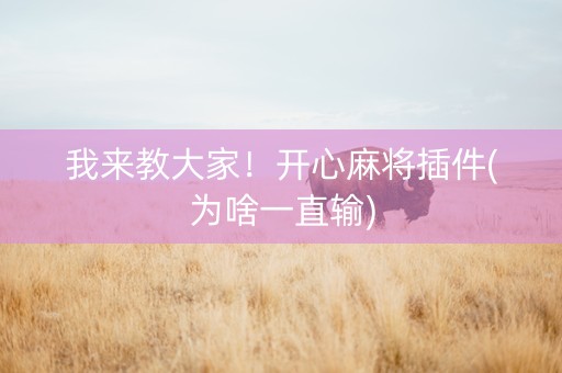 我来教大家！开心麻将插件(为啥一直输)