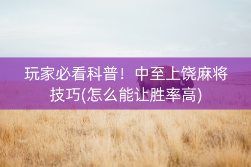 玩家必看科普！中至上饶麻将技巧(怎么能让胜率高)