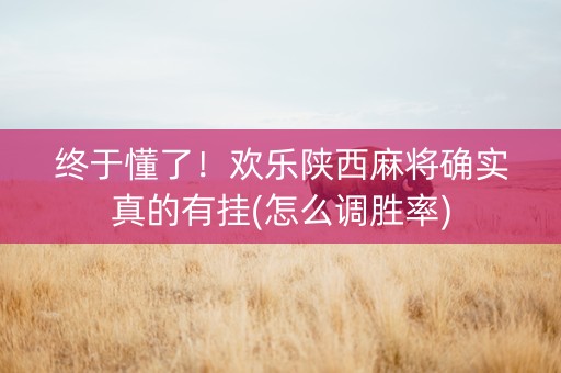 终于懂了！欢乐陕西麻将确实真的有挂(怎么调胜率)