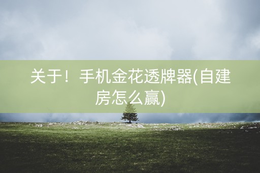 关于！手机金花透牌器(自建房怎么赢)