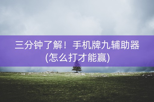 三分钟了解！手机牌九辅助器(怎么打才能赢)