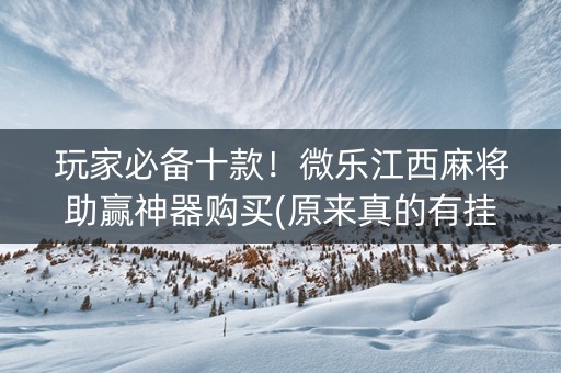 玩家必备十款！微乐江西麻将助赢神器购买(原来真的有挂)
