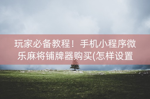 玩家必备教程！手机小程序微乐麻将铺牌器购买(怎样设置才容易赢)