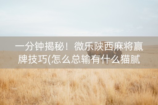 一分钟揭秘！微乐陕西麻将赢牌技巧(怎么总输有什么猫腻)