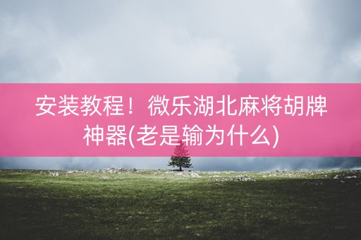 安装教程！微乐湖北麻将胡牌神器(老是输为什么)