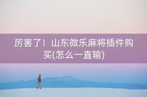 厉害了！山东微乐麻将插件购买(怎么一直输)