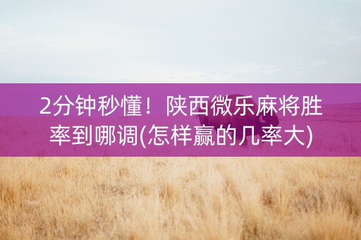 2分钟秒懂！陕西微乐麻将胜率到哪调(怎样赢的几率大)