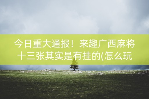 今日重大通报！来趣广西麻将十三张其实是有挂的(怎么玩才能赢)