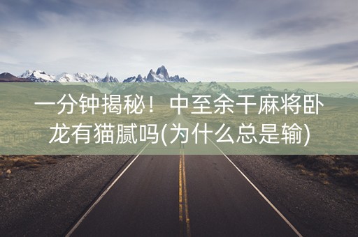 一分钟揭秘！中至余干麻将卧龙有猫腻吗(为什么总是输)