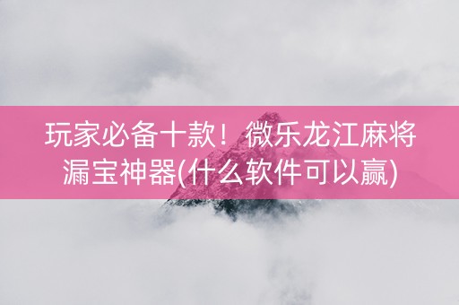 玩家必备十款！微乐龙江麻将漏宝神器(什么软件可以赢)