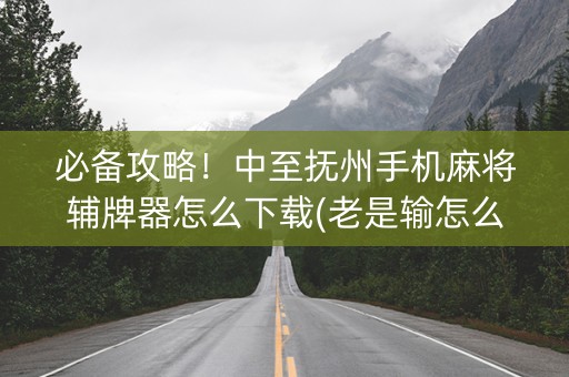 必备攻略！中至抚州手机麻将辅牌器怎么下载(老是输怎么回事)