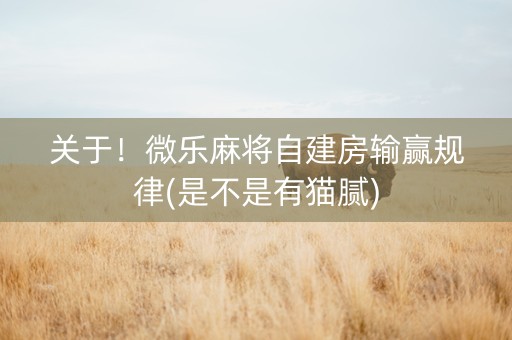 关于！微乐麻将自建房输赢规律(是不是有猫腻)