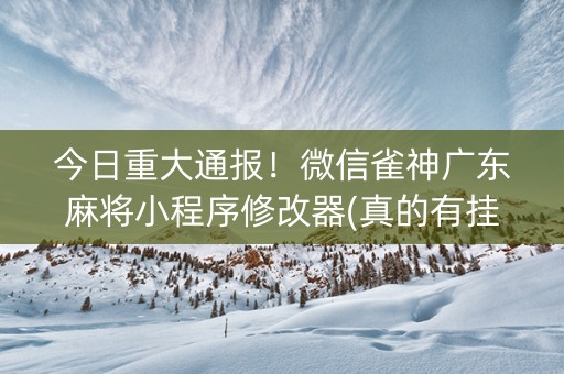 今日重大通报！微信雀神广东麻将小程序修改器(真的有挂)