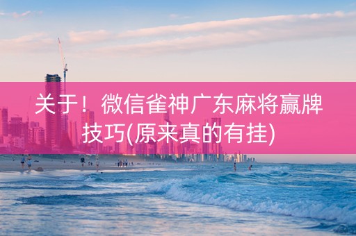 关于！微信雀神广东麻将赢牌技巧(原来真的有挂)